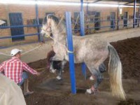 /album/fotogaleria/a23-espa-jpg/